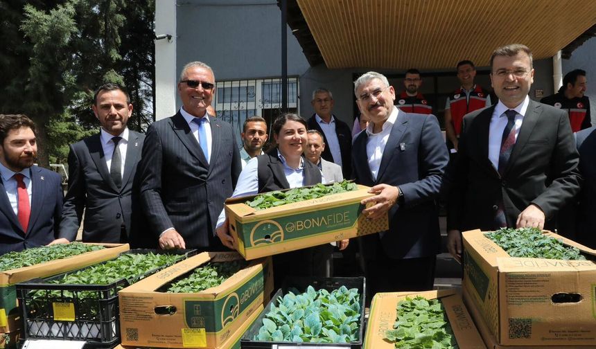 Altunhisar’da üreticiye fide dağıtıldı