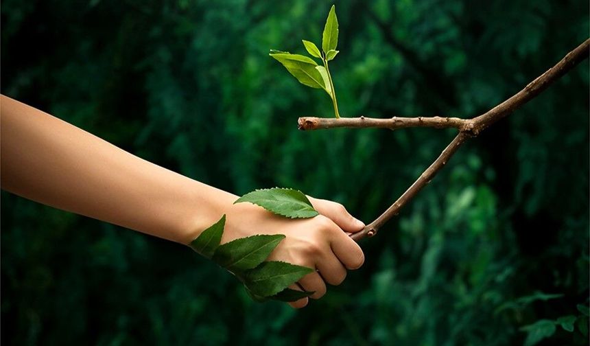 MEPAŞ’tan sürdürülebilir geleceğe anlamlı destek
