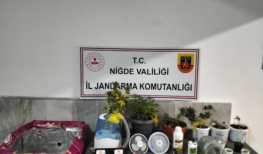 Ulukışla’da Narkotik Operasyonu
