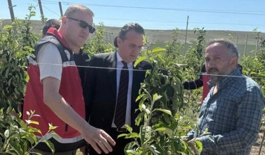 Bor'da Yeni Tarım Tesisine protokol ziyareti