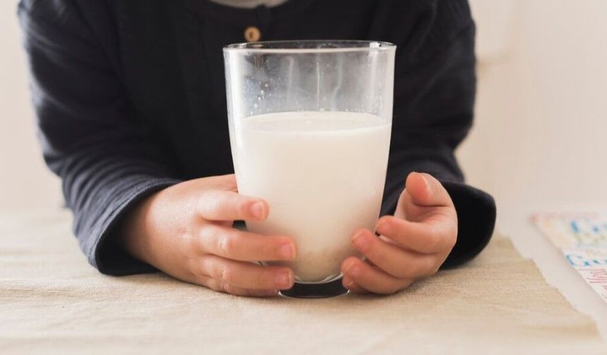 Sağlıklı nesiller için süt tüketimi