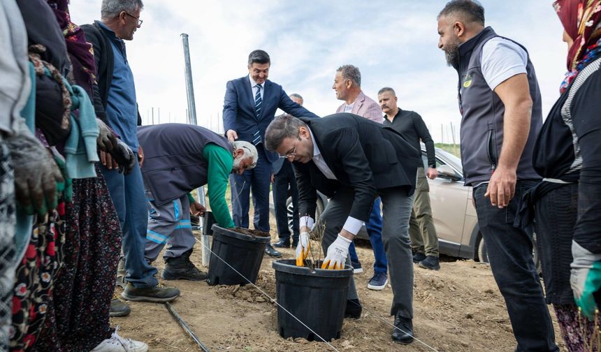 Vali Akmeşe’den Saklıbahçe Tarıma ziyaret