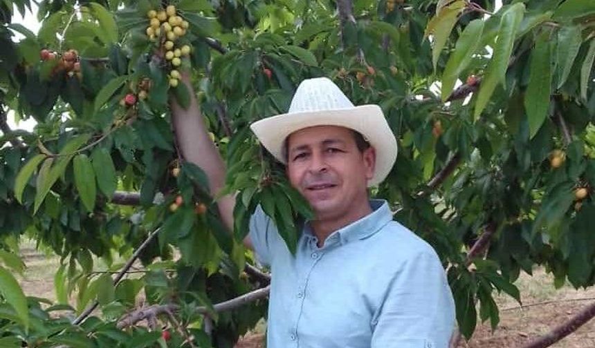 Niğde Kirazında ‘Kiraz Sineği’ Alarmı