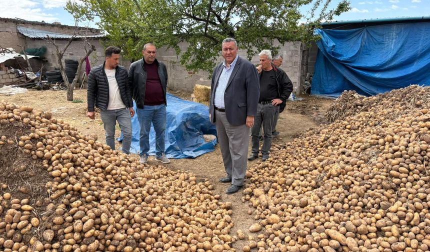 Gürer: “Niğde’de 200 Bin tona yakın patates çöp oldu”
