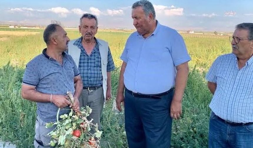 Gürer:“Üretici-çiftçi borcunu ödeyemeyince icra kapıda”