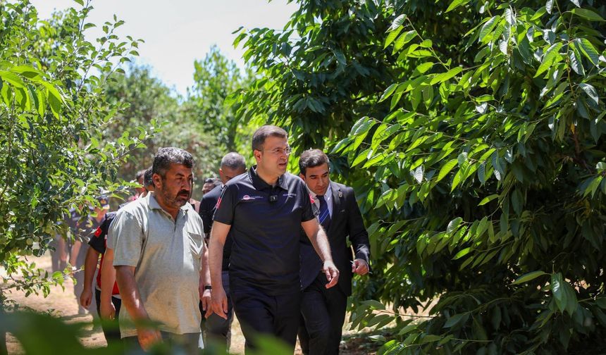 Vali Akmeşe’den köylerde hasat ve istişare