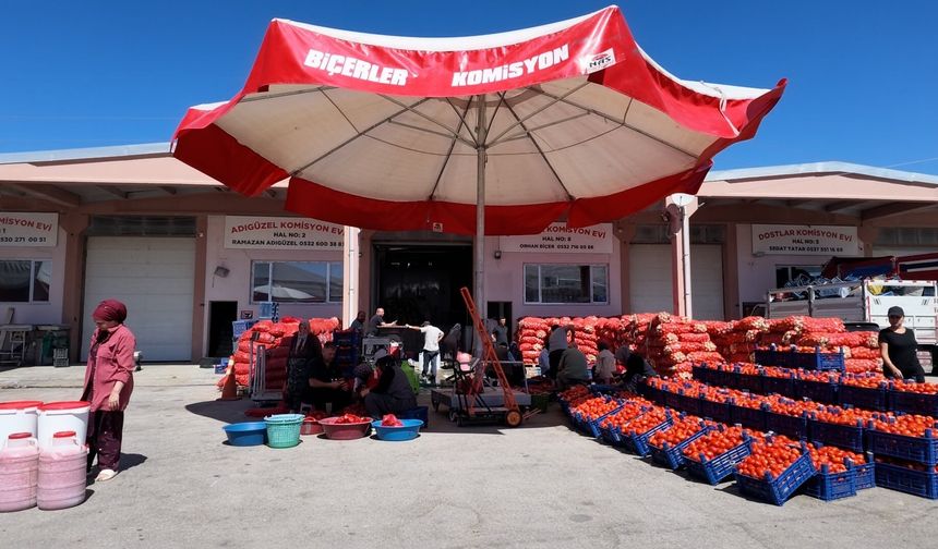 Niğde’de kışlık salça mesaisi başladı