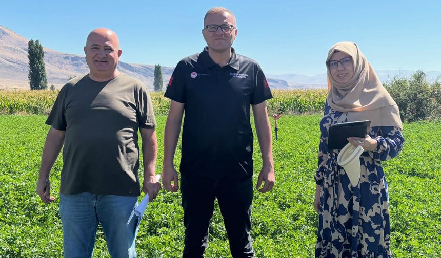 Bor'da Yem Bitkileri saha kontrolü