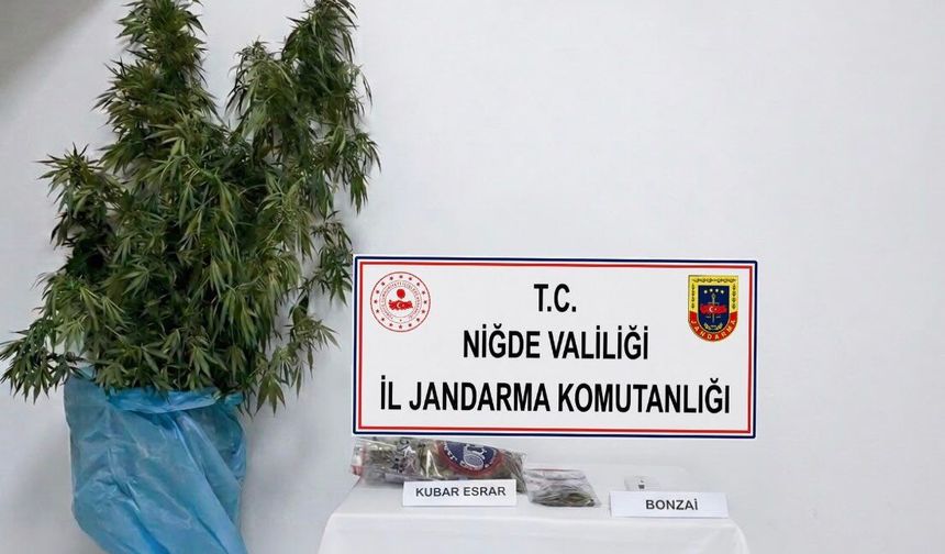 Jandarmadan Narkotik Operasyonu!