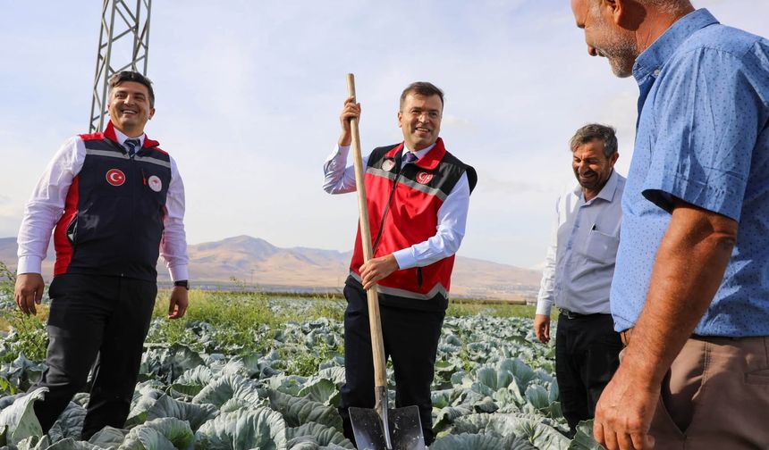 Vali Akmeşe’den Kaynarca’da inceleme ve hasat