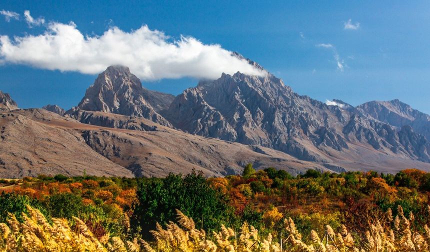 Çamardı’da Foto Safari için geri sayım
