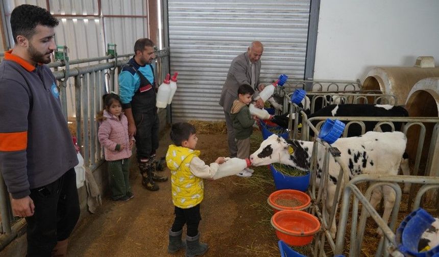Minikler hayvansal üretimi yerinde öğrendi