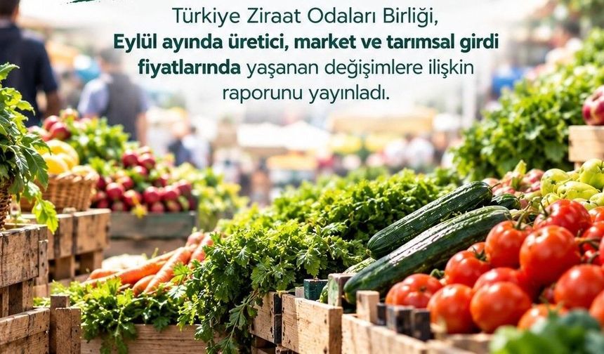 TZOB Eylül girdi maliyet raporu açıklandı