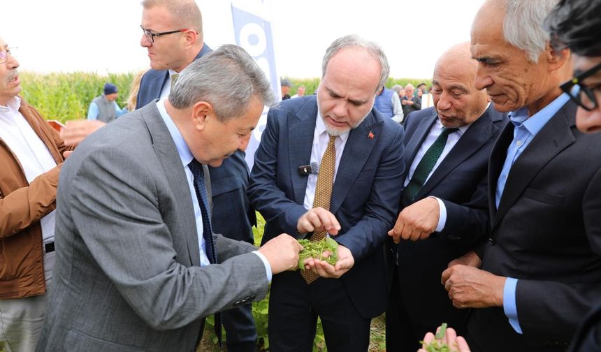 NÖHÜ'DEN yem maliyetini düşürecek stratejik adım