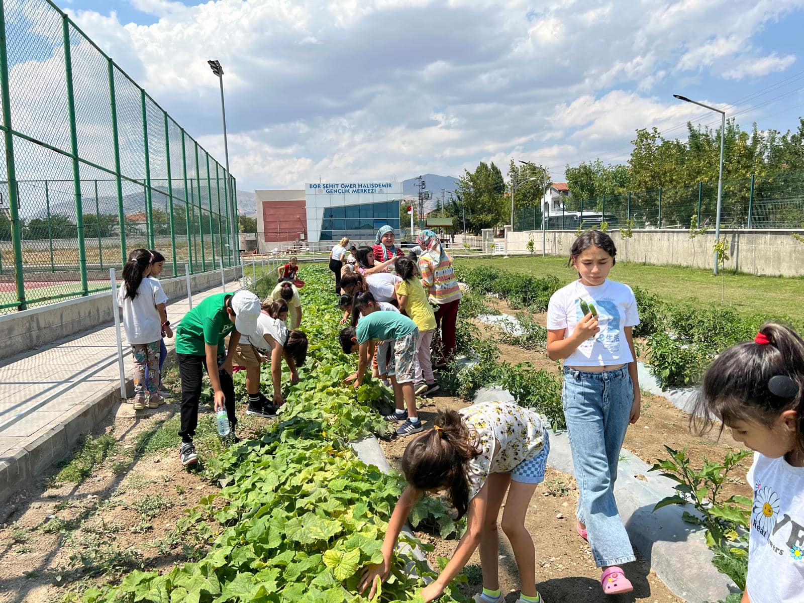 Gönüllüler Ve Öğrenciler Ihtiyaç Sahipleri Için Hasat Yaptı 4