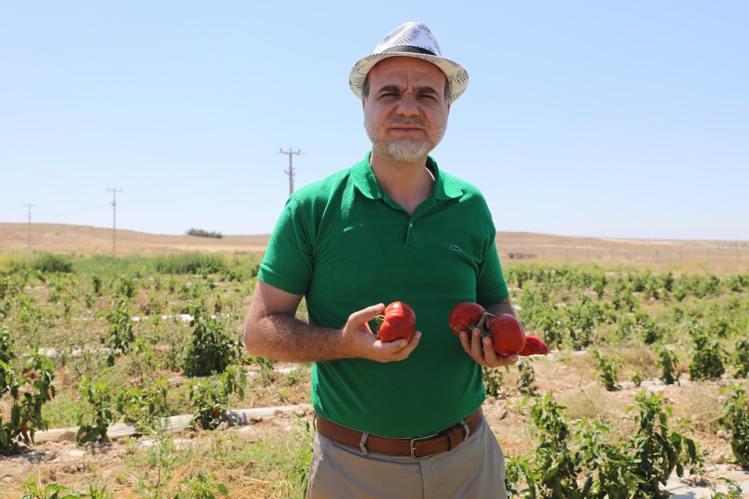 Üniversite Yerleşkesinde Bin Dekar Arazi Tarıma Kazandırıldı (3)