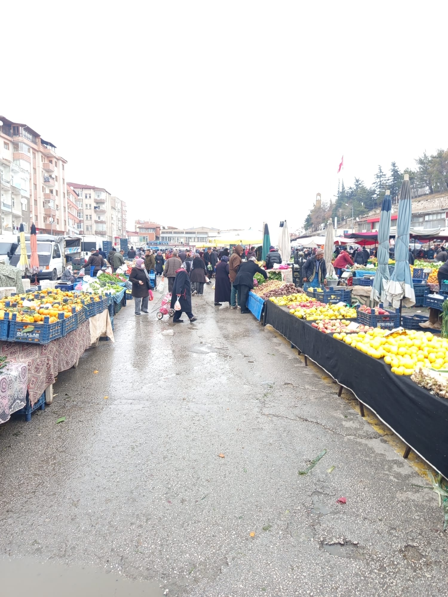 Pazar Çantalari Bomboş Kaldi! (29)