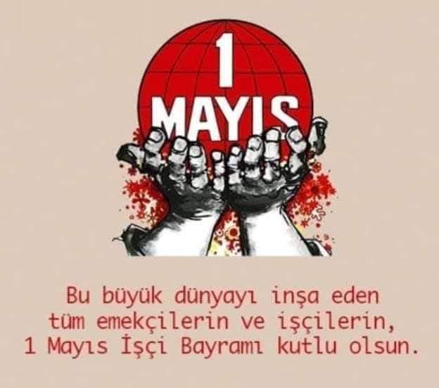 495064279 4219715141594671 8588795719202937393 N