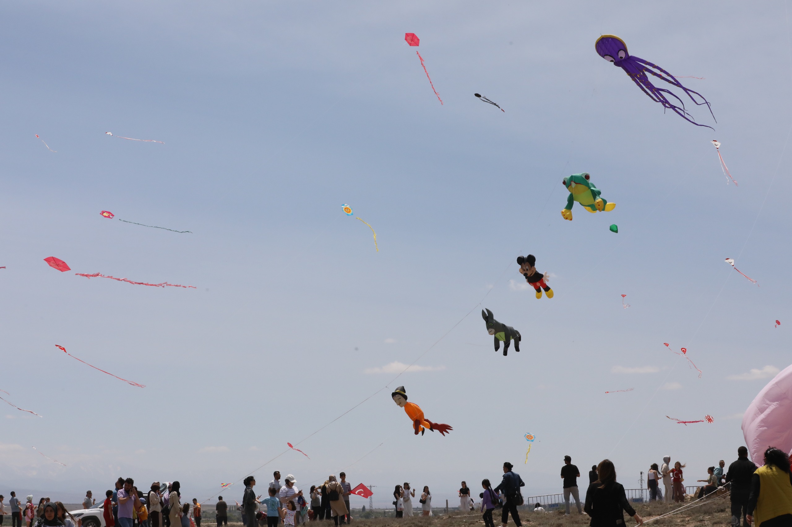 E19C38Df Cca4 47E3 Ac57 495Bf631A207-1