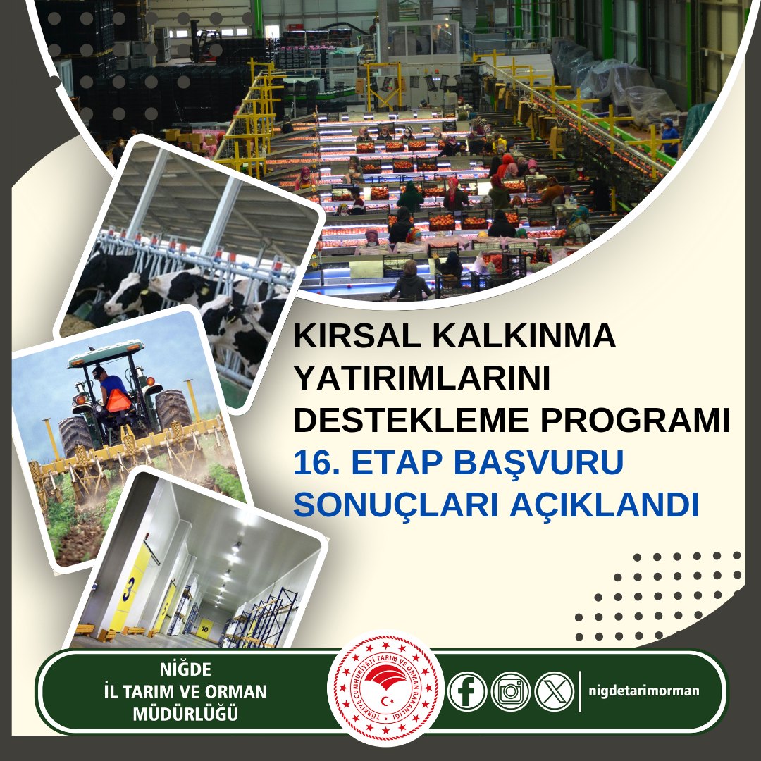 509268632 1043405097897610 5960915031407846780 N