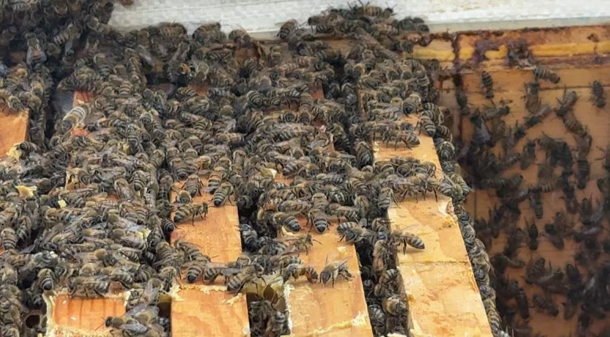 844F3B4A 4329 48C9 9Af4 E8152A59E1D8