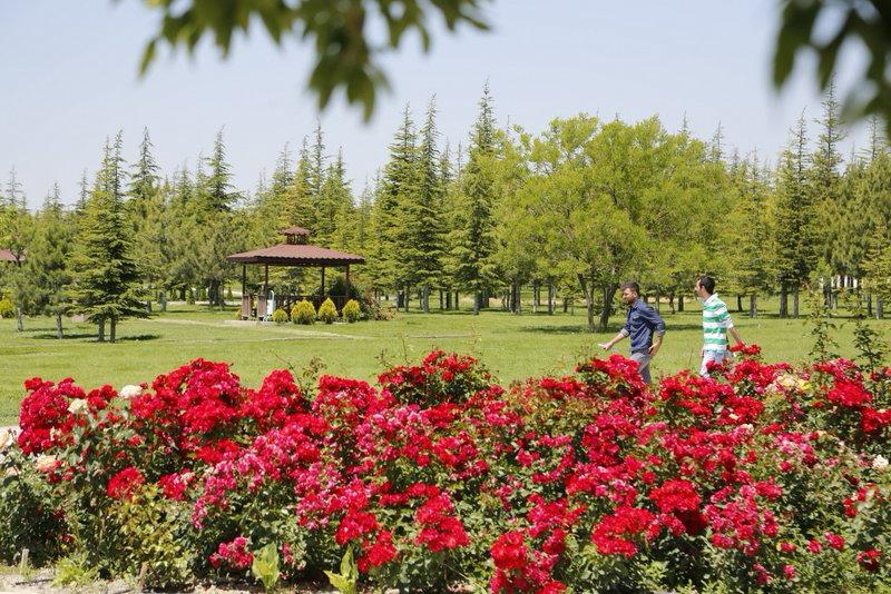 B4Bd3A51 B9B5 496A 9F0B 682Ba19Fcd5C