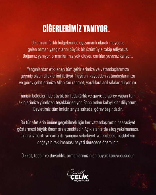 Gw2 H Nf F W I A E77 W4