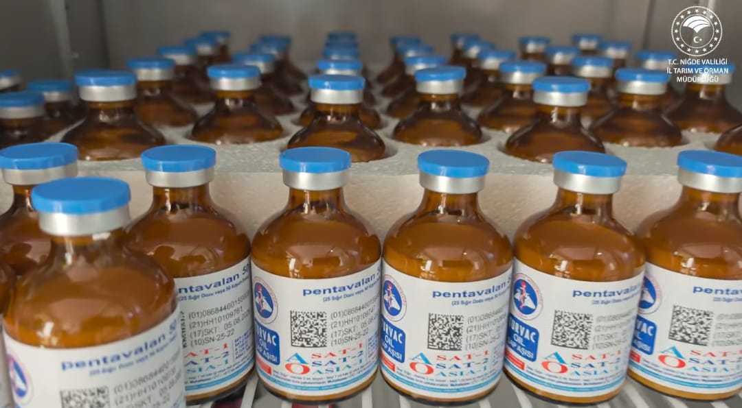 4F8A7Ee9 6F5C 4F9A 8Ff2 D5C1B5B8828B