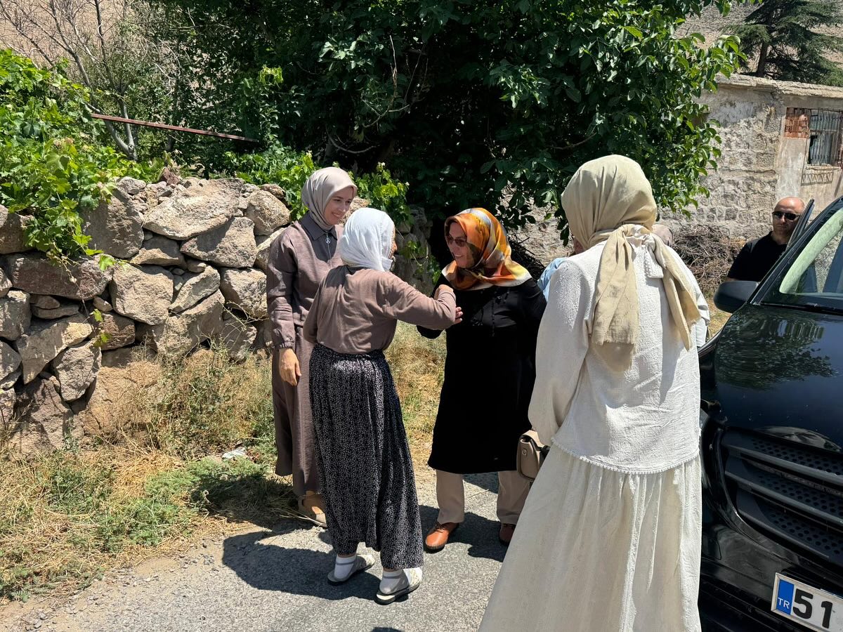 528237425 17910126852189525 1857919818382045237 N