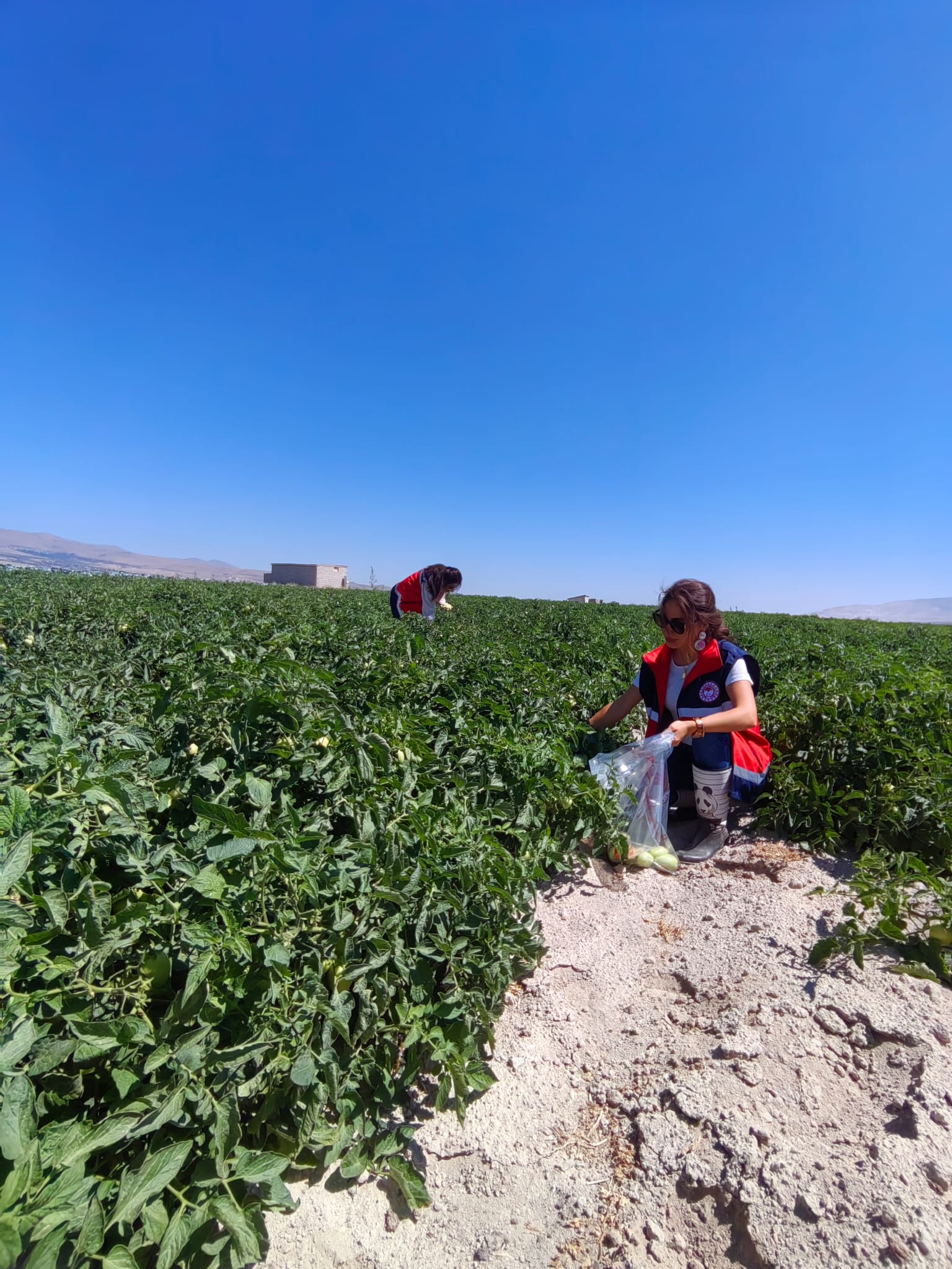 529691073 1081603807411072 5781025099762340256 N