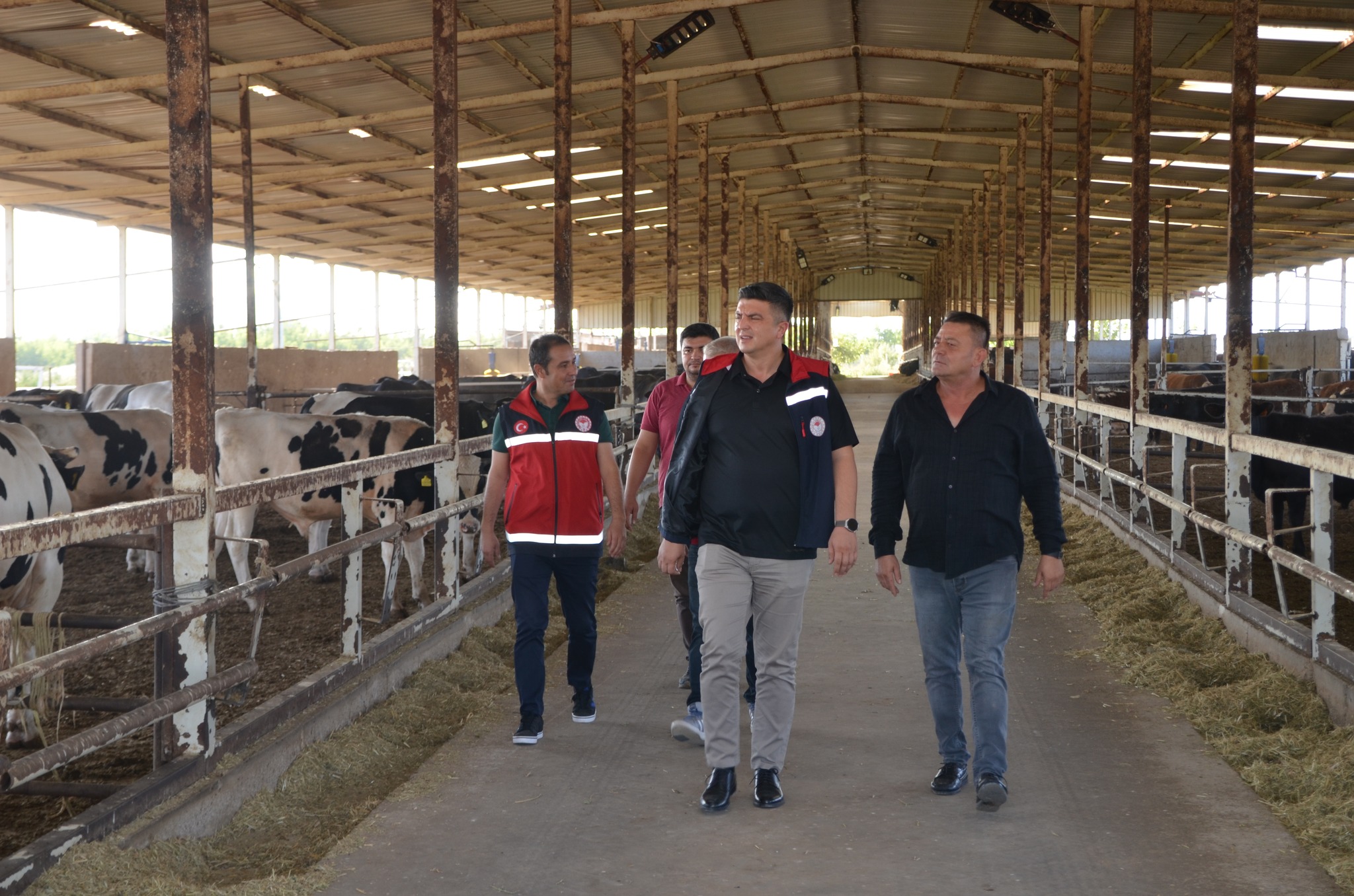 529862674 1085134820391304 3119958088140061147 N