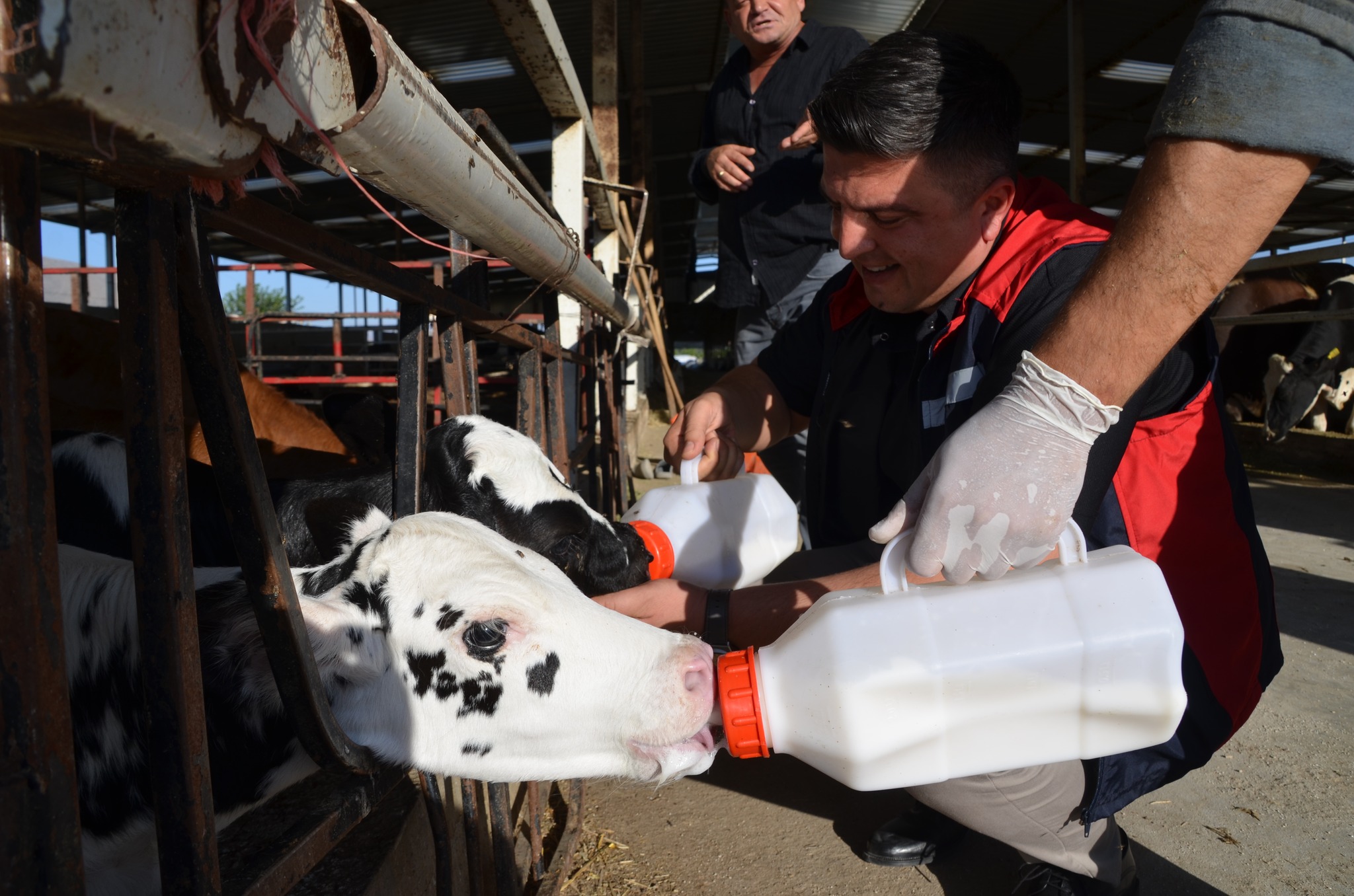 529941236 1085134700391316 3625377320341518103 N