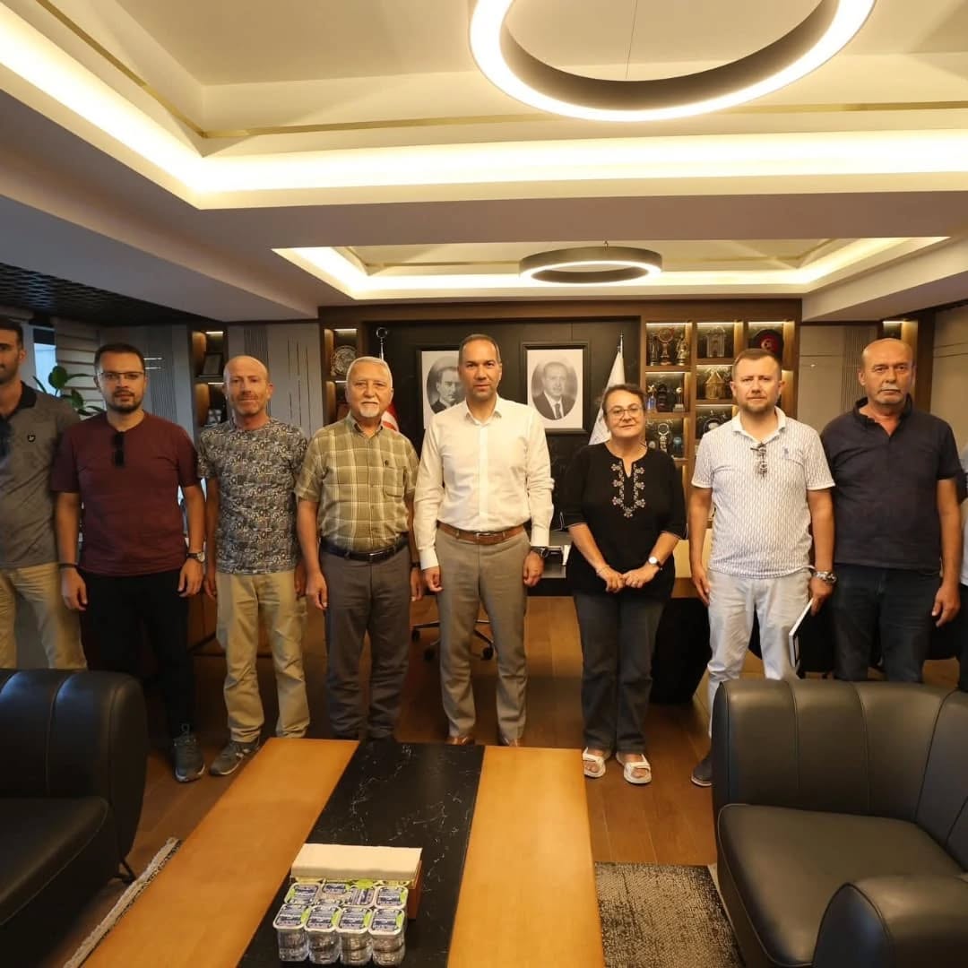 533479418 18072313157044463 8866526165243264436 N