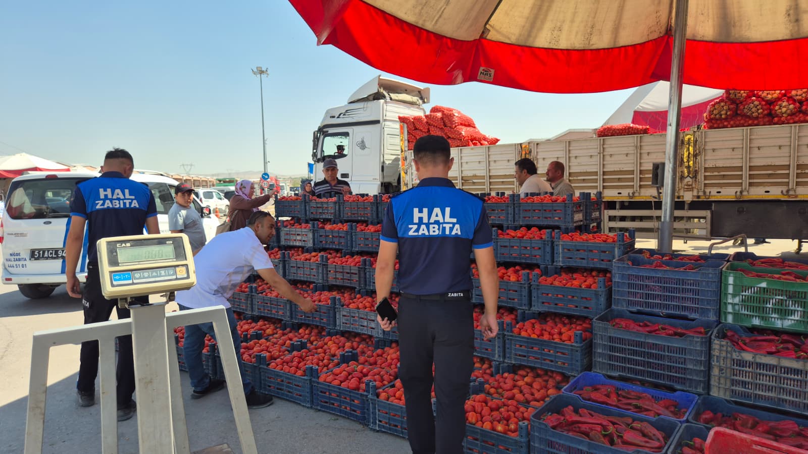 602Ce7E6 Bf71 48C3 Aa29 42050798407C