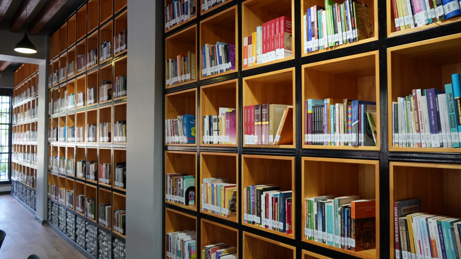 9D92A414 Da38 4C5D Af99 0B4Fed62Bee7