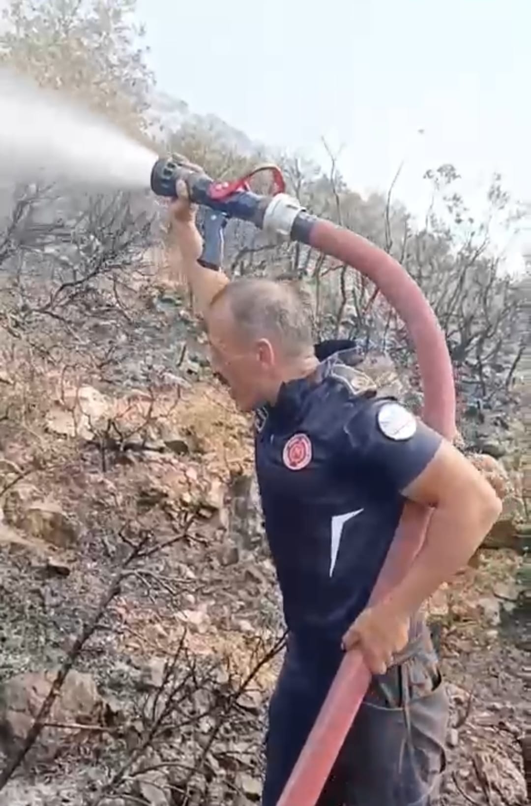 A95785F5 4880 4Bd0 8Cad 1E1Ab95A6A5B