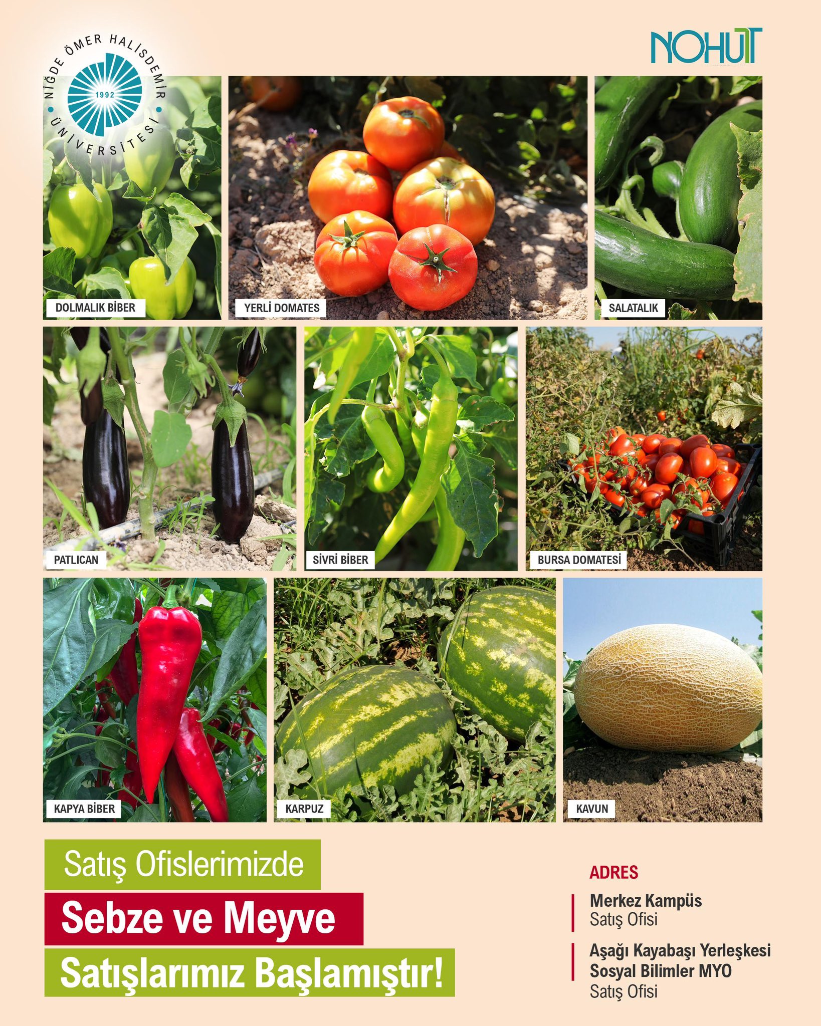 Gyz3X G X E A M Cp V W