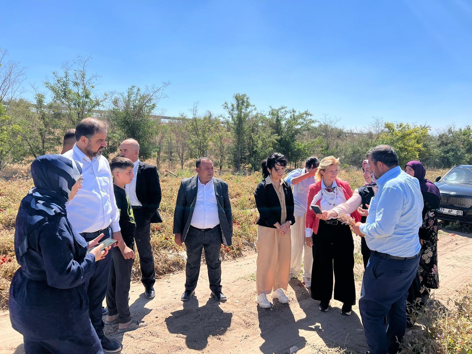 3B839D45 4135 406F A132 Fd5D01Bf7778