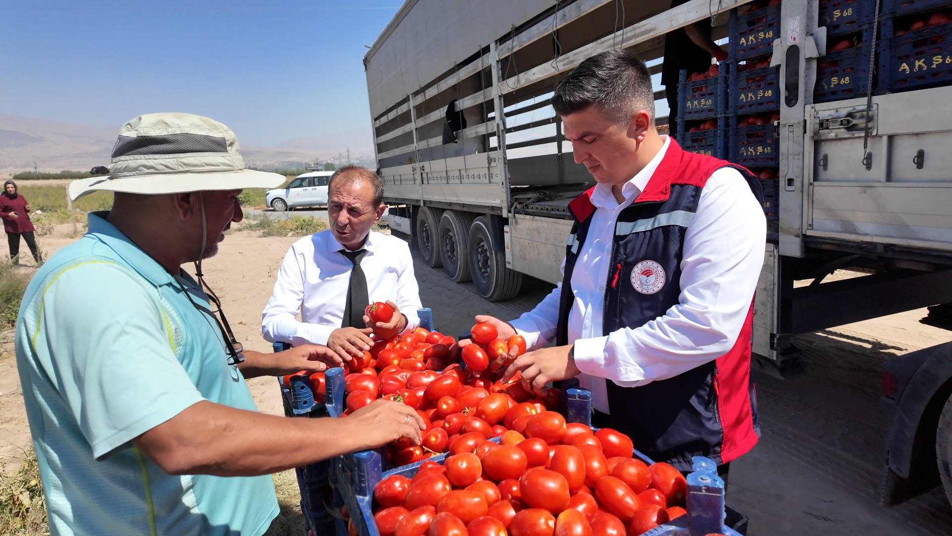 539732588 1102631175308335 3548714583407710453 N