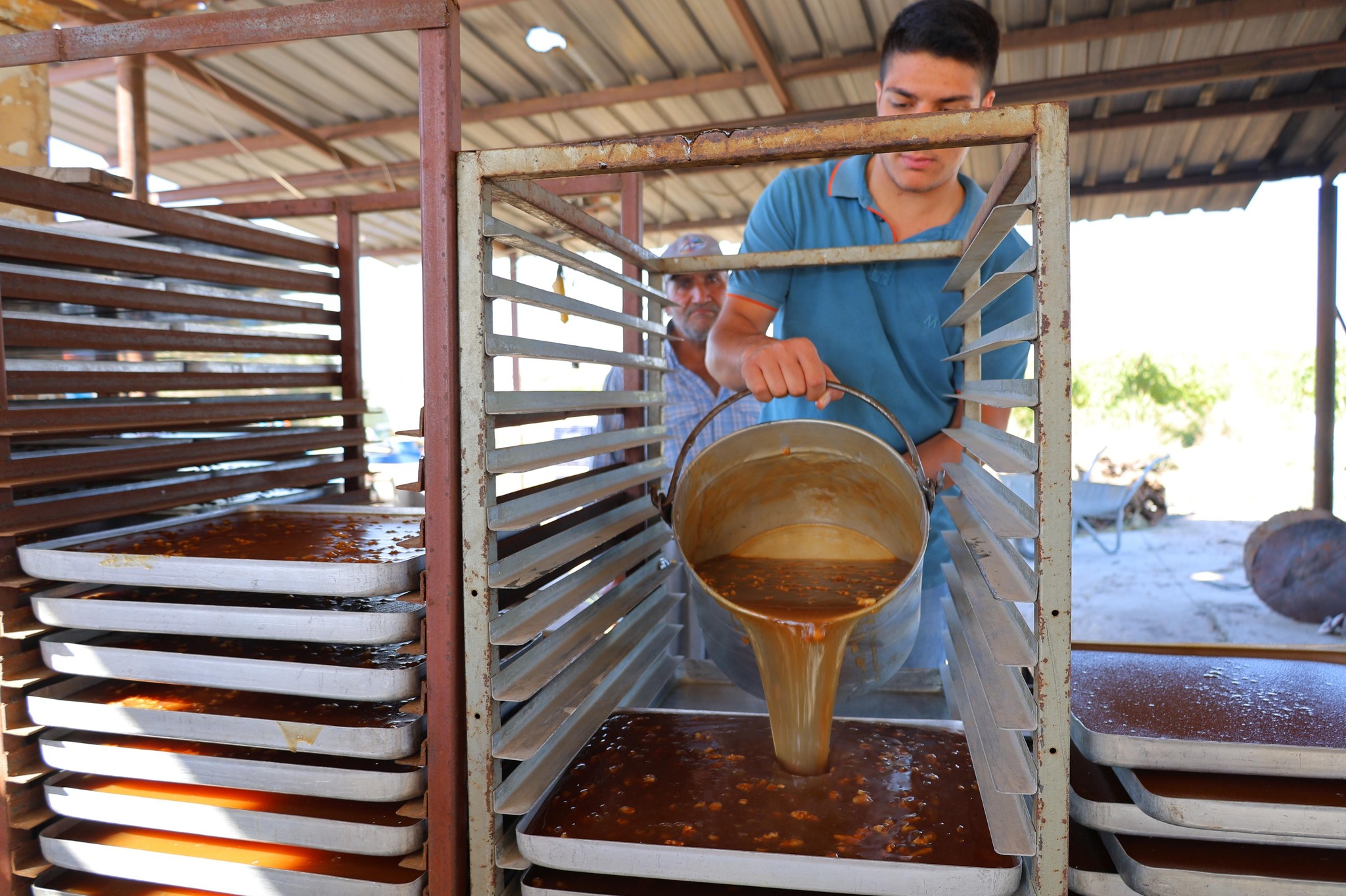 545411541 31085003044476755 2540922750808634562 N