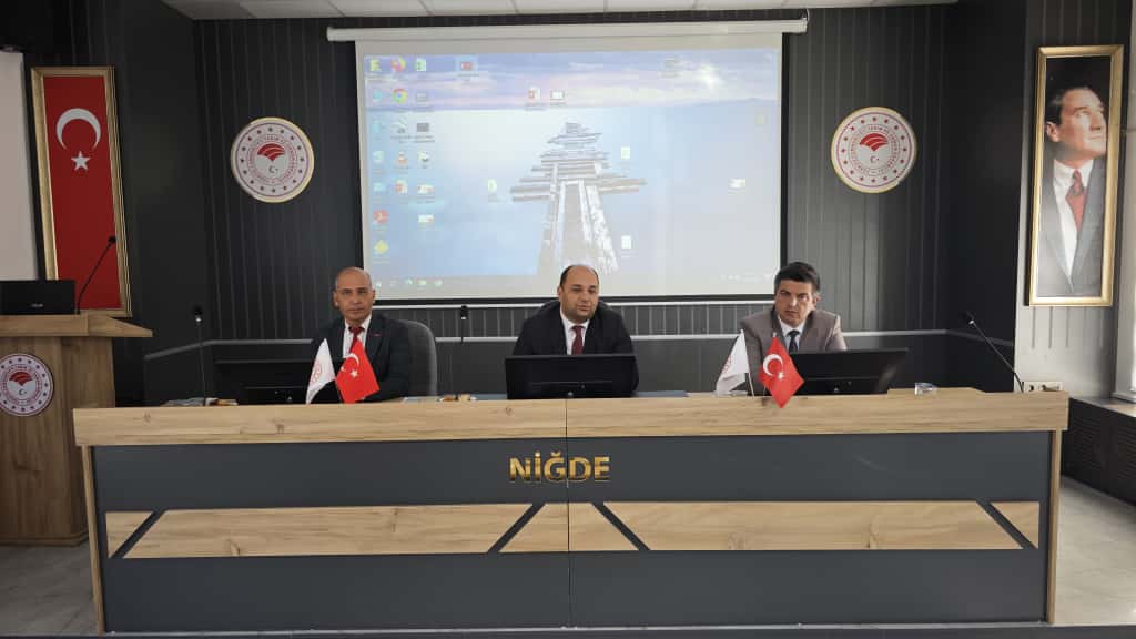 554096357 1120884016816384 403874432465135032 N