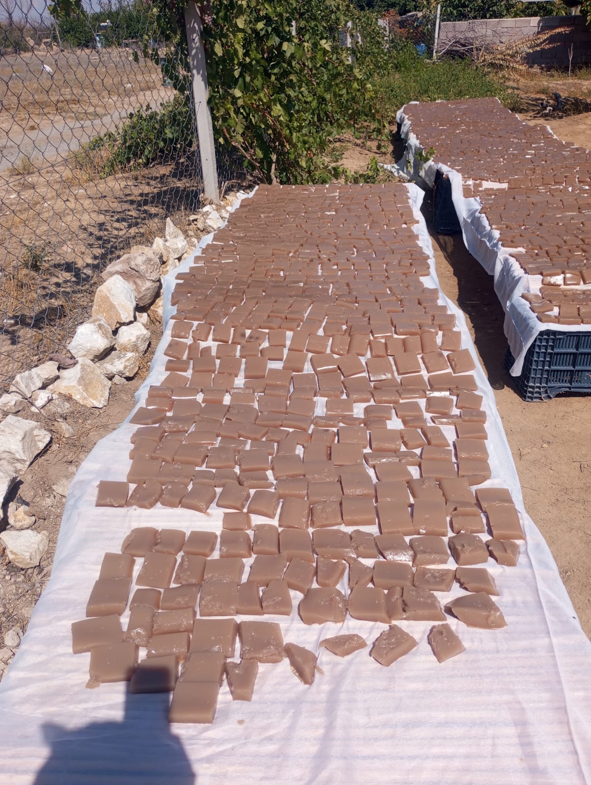 Cca25228 537E 44C0 A8Db 6Db1994B3B0E