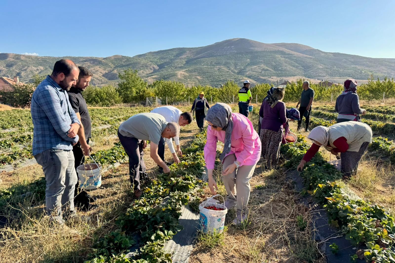 G00R P O H W4 A A W O Ji