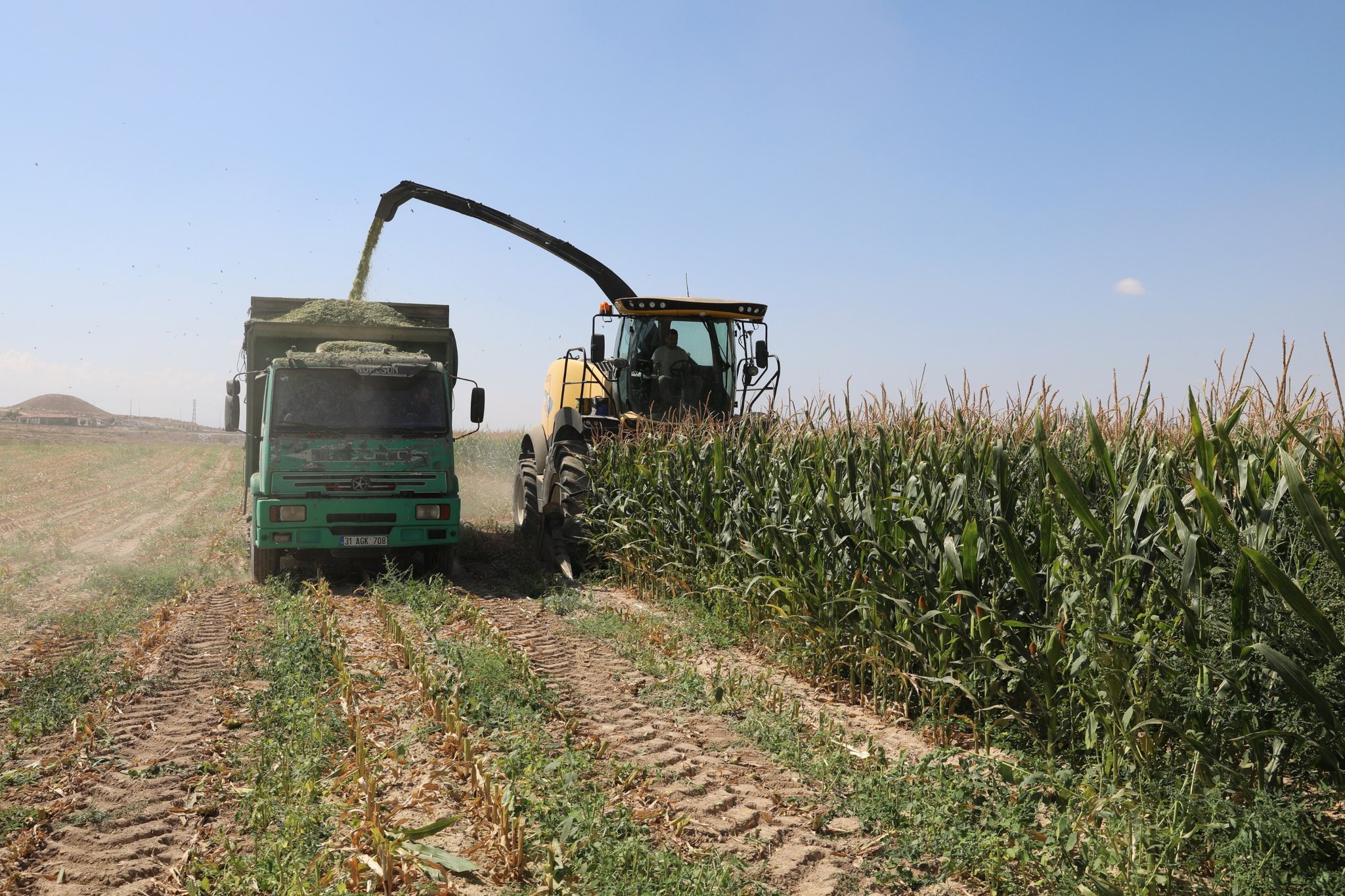 G0A5 Qhx W M A A I Vm8