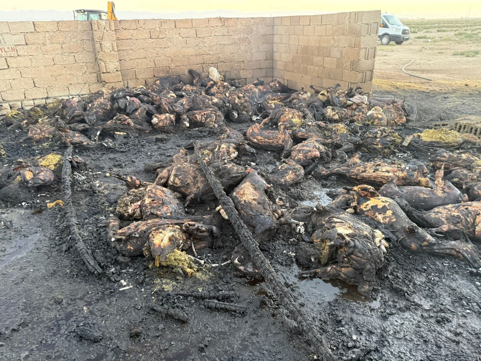 10D2E521 9983 41Ec A621 34E8Ce2Ea9C3