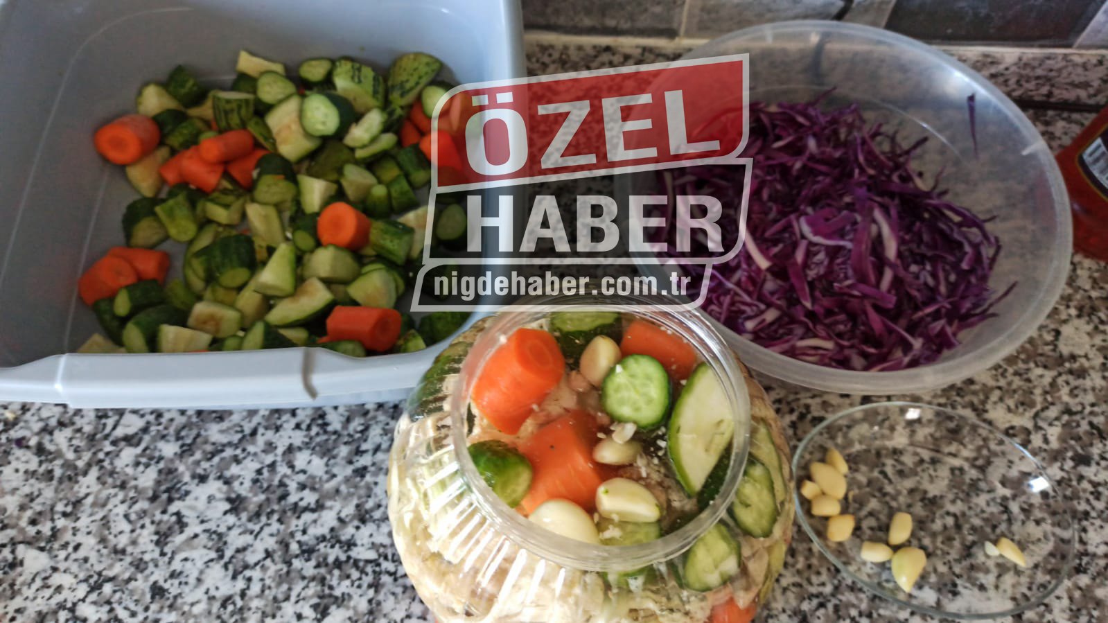 3D6Dd4E8 F023 4A0C Ab84 90Ab3Fb72F1E