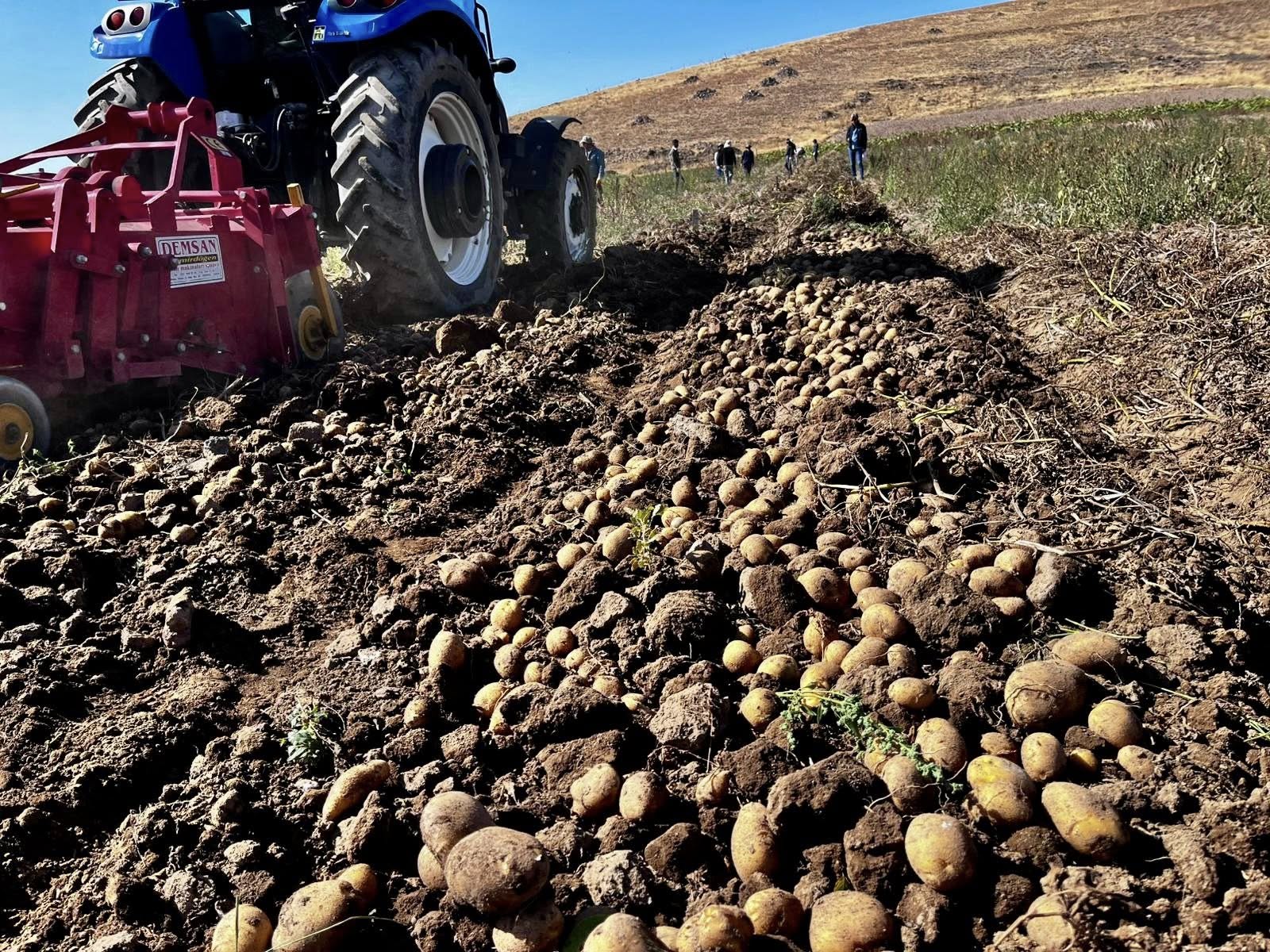 558152728 122187823760497633 2044260692083929972 N