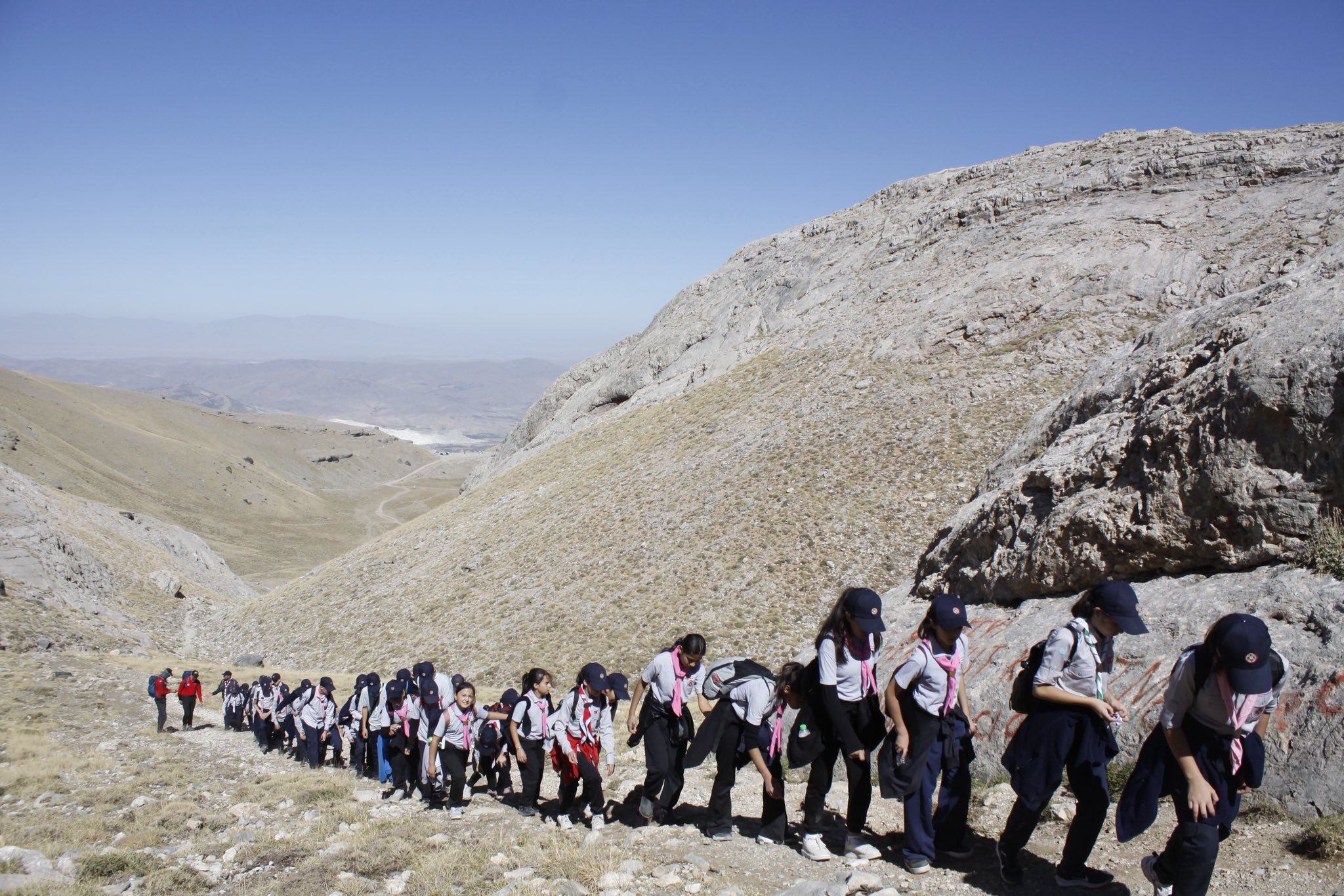 561015841 1241736207996904 4528205138345186264 N