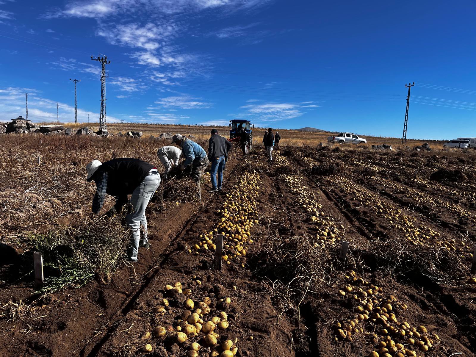 564584447 122189010890497633 7077935275173626728 N