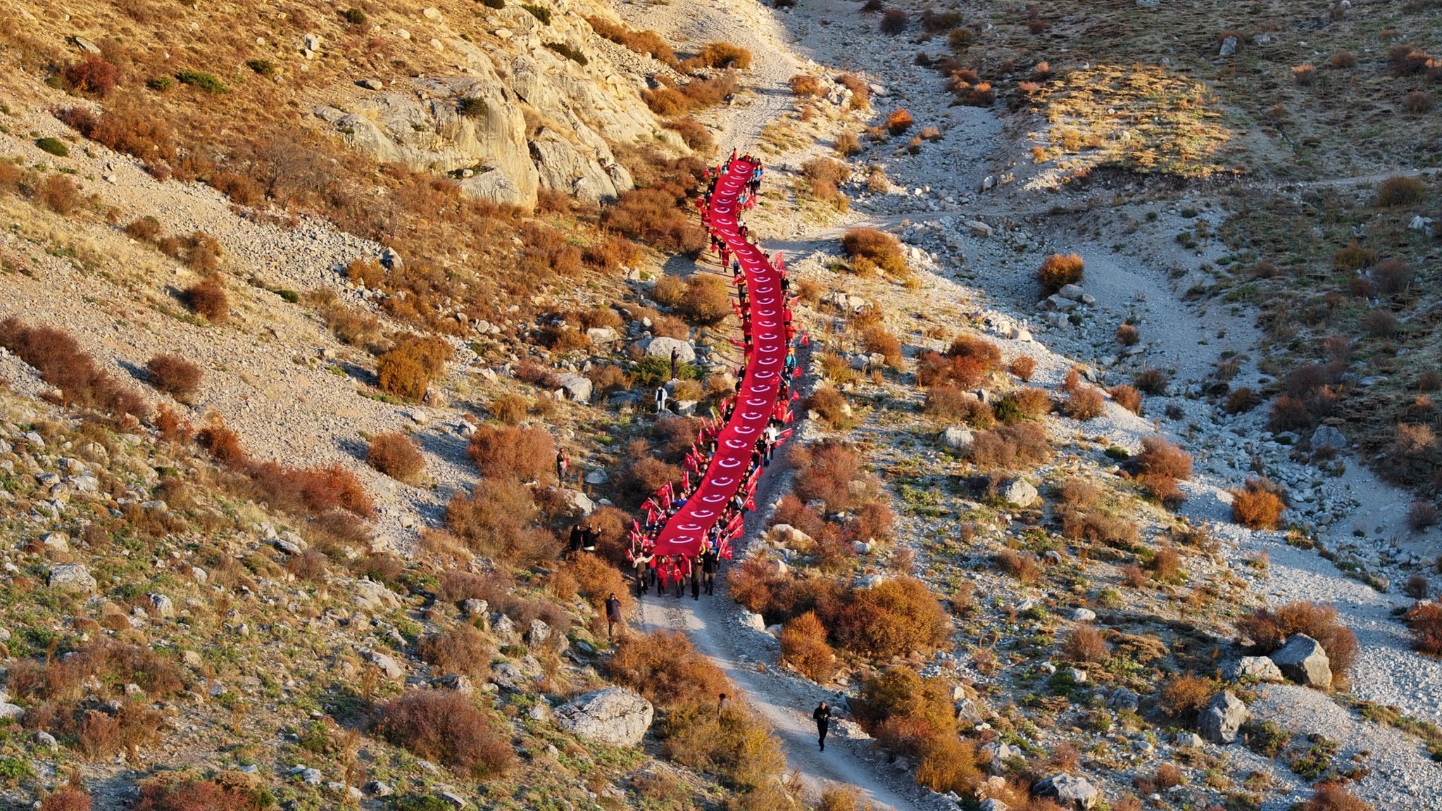 G4 Hu T G L Wc A A Dg B Q